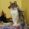 Отзыв от Катюша Басова